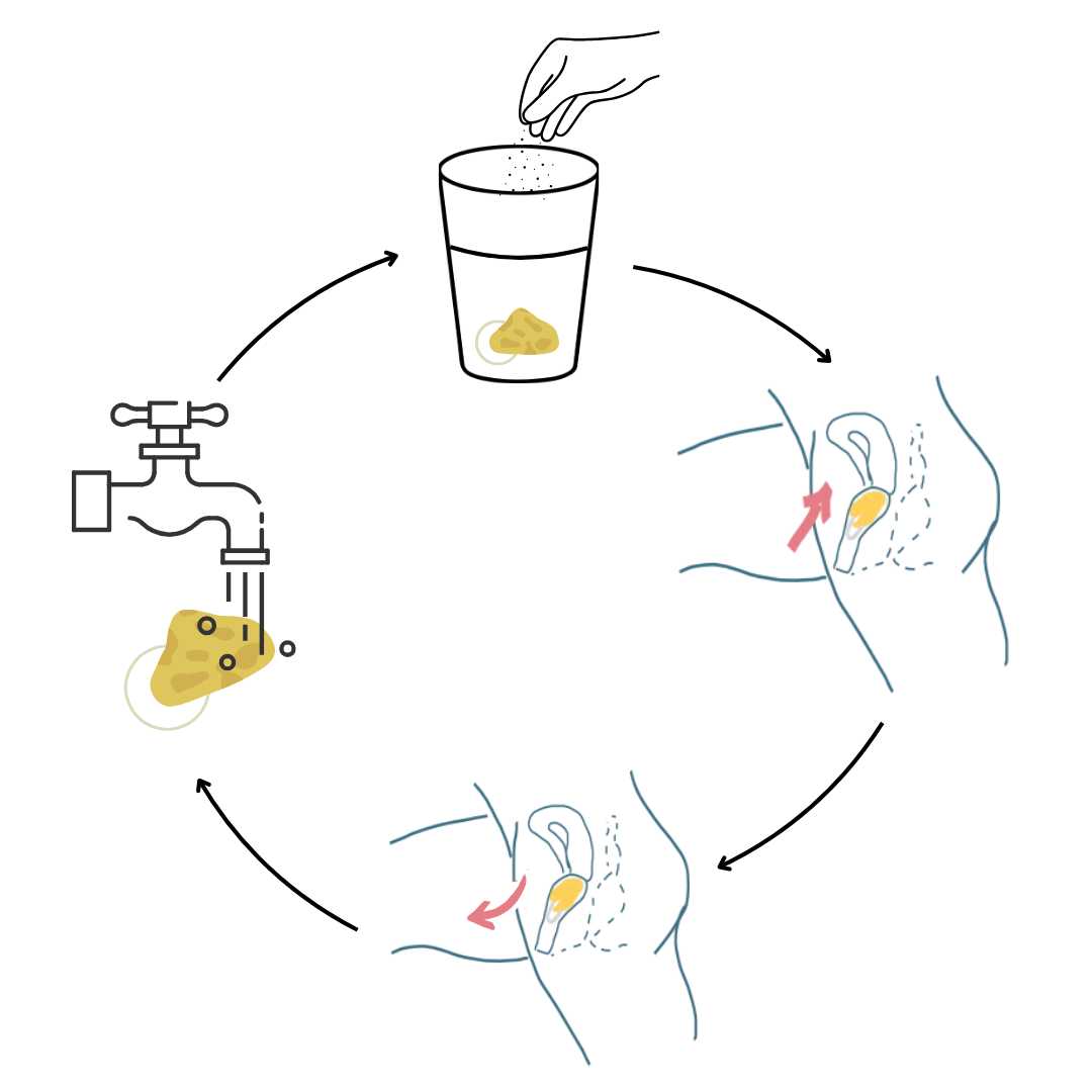 istruzioni d'uso di arielle